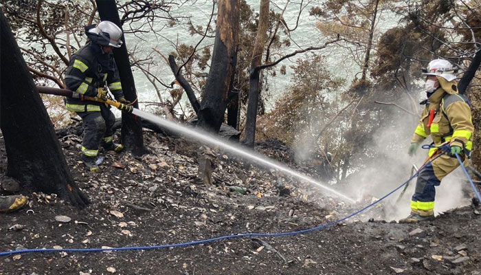 Firefighters battling a wildfire in Ofunato city of Iwate Prefecture.—AFP/File