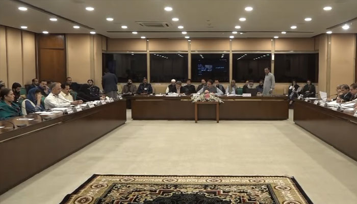 MNA Junaid Akbar Khan chairing the Public Accounts Committee (PAC) meeting, March 11, 2025. —Facebook@NationalAssemblyOfPakistan