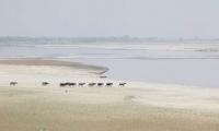 Water, power and politics