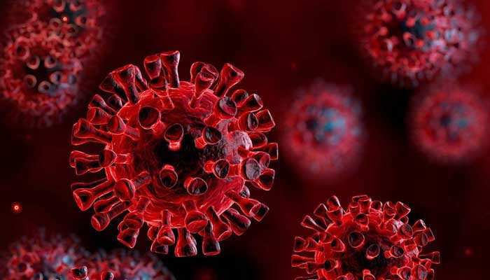 A representational image of virus. — AFP/File