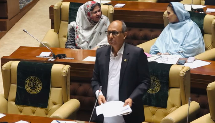Sindh Local Government Minister Saeed Ghani speaks in the pre-budget discussion in the Sindh Assembly on March 21, 2025. — Screengrab via Facebook@SaeedGhaniPPP