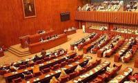 Privilege motion against IT ministry official submitted to Senate