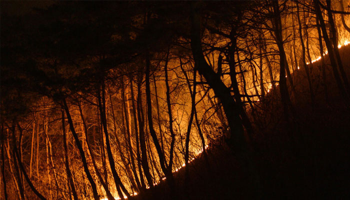 Smoke rises from a wildfire in Andong early on March 27, 2025. —AFP