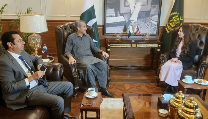 Interior Mohsin Naqvi (left) meets US Acting Ambassador Natalie Baker in Islamabad on March 27, 2025. — Facebook/Ministry of Interior GoP