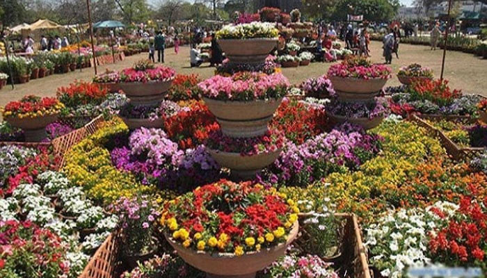This image shows an array of colourful flowers on display in a park. — APP/File