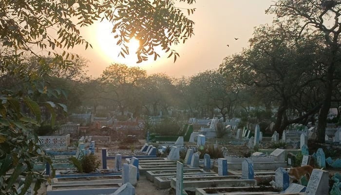 This representational image shows a general view of a graveyard. — Geo. tv/File