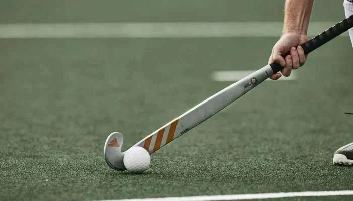 The representational image of a hockey stick and ball. — APP/File