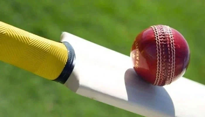 A representational image of a cricket ball and a bat. — AFP/File