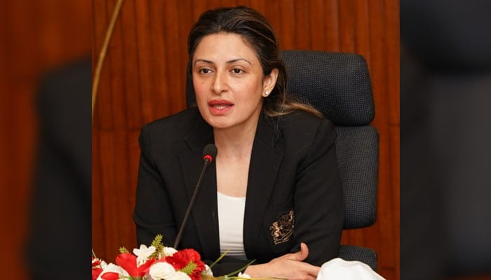 Member of Food Security and Climate Change Planning Commission Nadia Rehman addresses at pre-budget consultative dialogue on “Greening the macro-fiscal economic regime for low carbon development” on April 9, 2025. — Facebook@PlanComPakistan