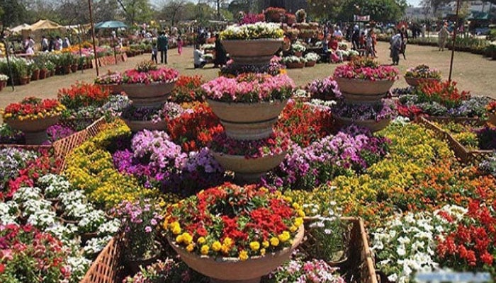 This image shows an array of colourful flowers on display in a park. — APP/File