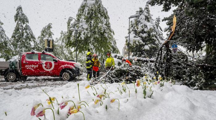 Heavy spring snow storm wreaks havoc in the Alps