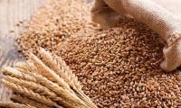 Govt wheat procurement failure may trigger flour crisis: association