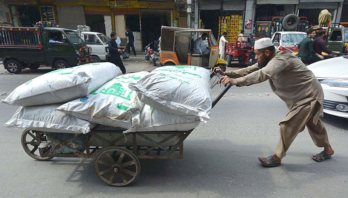 A labourer is carrying sugar sacks on his handcart in Peshawar on May 1, 2023. — APP