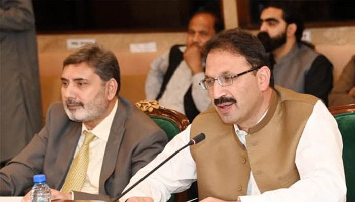Junaid Akbar Khan chairing the Public Accounts Committee (PAC), April 23, 2025. —Facebook@NationalAssemblyOfPakistan