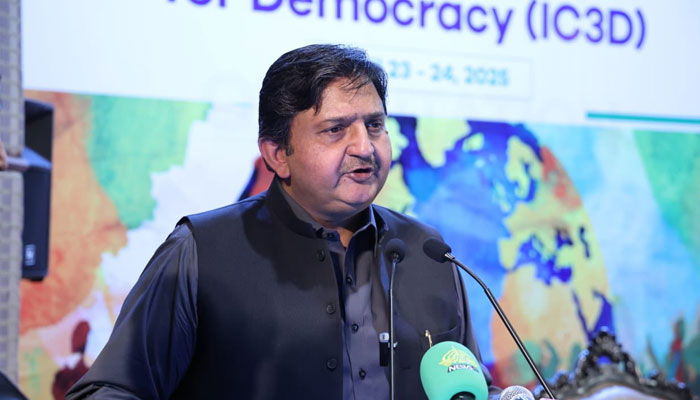 Punjab Assembly Speaker Muhammad Ahmad Khan addresses an international democracy conference at a private university on April 24, 2025. — Facebook@MalikMAhmadKhan