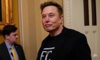 The Musk factor