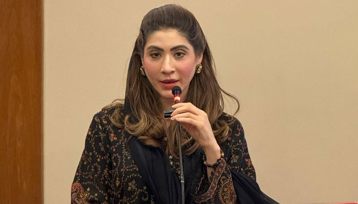 Punjab Women Protection Authority (PWPA) Chairperson Hina Parvez Butt addresses an event on February 24, 2025. — Facebook@PWPA.Gov