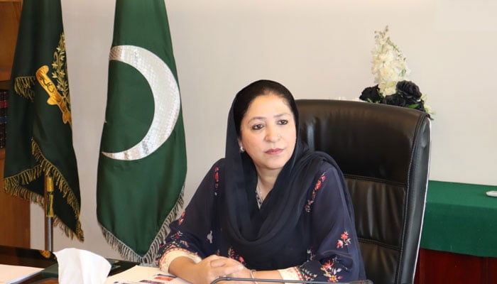 Minister of State for Federal Education and Professional Training Wajiha Qamar looks on in a meeting on March 13, 2025. — Facebook@mofept