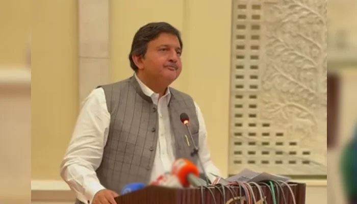 Punjab Assembly Speaker Malik Muhammad Ahmad Khan addressing a seminar on May 4, 2025. — Screengrab via Facebook@MalikMAhmadKhan