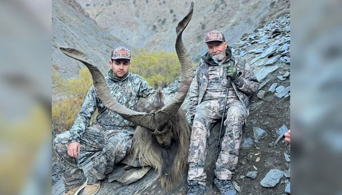 This representational image shows hunters can be seen with hunted Markhor in this image released on December 8, 2024. — Facebook@Chitral Wildlife Division