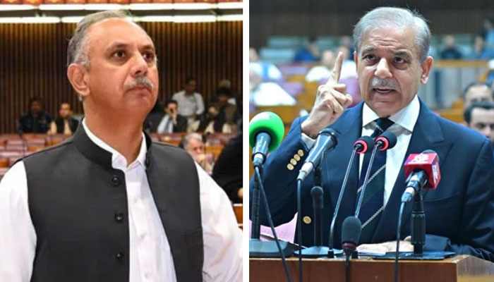 This combo shows leader of the Opposition in the National Assembly Omar Ayub Khan (left) and Prime Minister Shehbaz Sharif. — X@NAofPakistan/APP/File