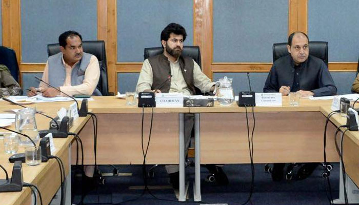 Chairman Senate Standing Committee on Overseas Pakistanis and Human Resource Development Senator Zeeshan Khanzada presides over a committee meeting on May 8, 2025. — Facebook@Pakistansenate
