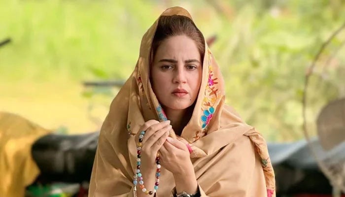 Pakistan Tehreek-e-Insaf (PTI) leader Zartaj Gul seen in this image. — X@zartajgulwazir/File