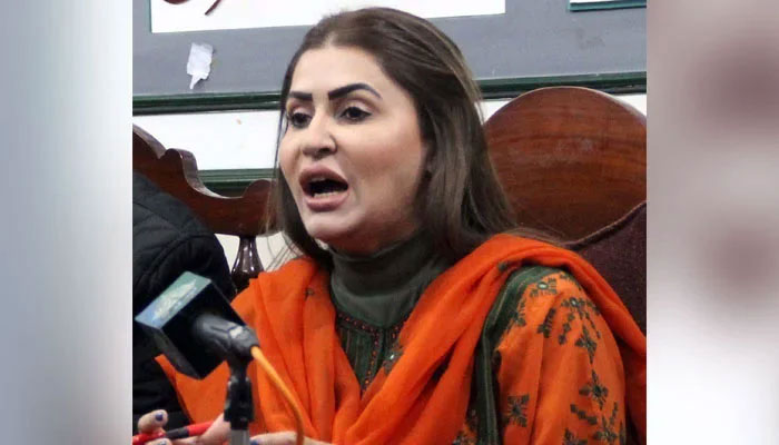 Pakistan Peoples Party Parliamentarians (PPPP) spokesperson Shazia Marri addresses to media persons during a press conference. — PPI/File
