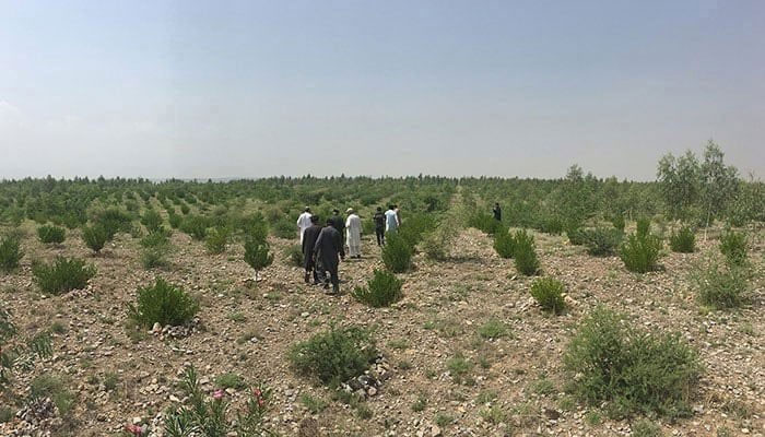 In this file image, men can be seen walking. — APP/File