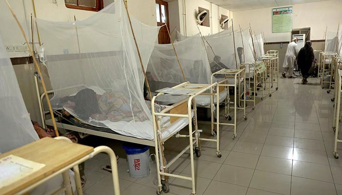 Dengue patients can be seen admitted in a Dengue Ward at Benazir Bhutto Hospital in Rawalpindi on October 4, 2024 in this photo. — APP