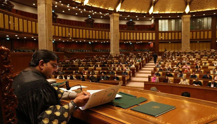 Punjab Assembly Speaker Malik Muhammad Ahmad Khan presides over an assembly session in this undated image. — Facebook@MalikMAhmadKhan/File