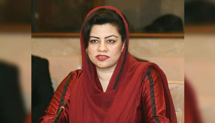 Head of the Tehreek-e-Insaf (PTI) women’s wing Kanwal Shozab speaks at an event. — Facebook@KanwalShauzabOfficial/File