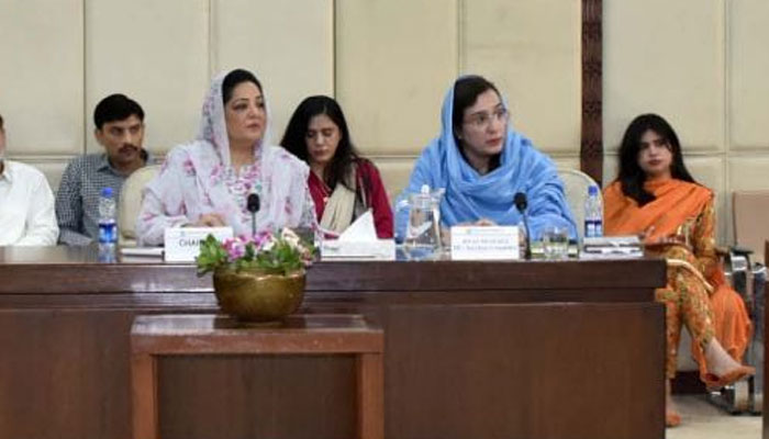 Chairpersonship of the Senate Standing Committee on Finance and Revenue Senator Anusha Rahman presides over the committee meeting at the Parliament House on May 15, 2025. — Facebook@Pakistansenate