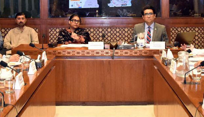 Senator Quratulain Marri presides over the meeting of the Senate Standing Committee on Planning, Development and Special Initiatives at the Parliament House on May 15, 2025. — Facebook@Pakistansenate