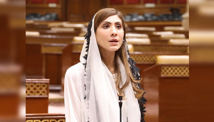 Pakistan Muslim League (N) MPA and Chairperson of the Punjab Women Protection Authority, Hina Parvez Butt speaks during a session of the Punjab Assembly on May 15, 2025. — Facebook@HinaPervezButt