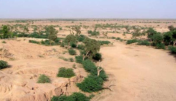This image shows land in Cholistan. — Radio Pakistan/File