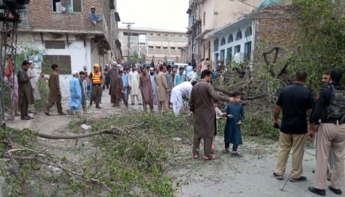 View of tree fallen down due to strong winds before downpour during hot day of summer season in Peshawar on May 18, 2025. — PPI