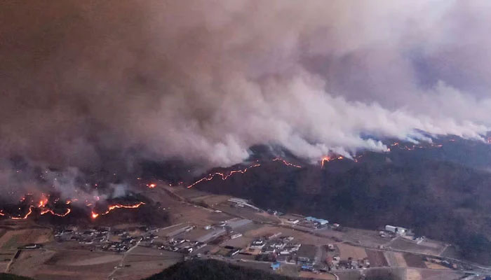 This representational image shows smoke rising from a wildfire. — Reuters/File