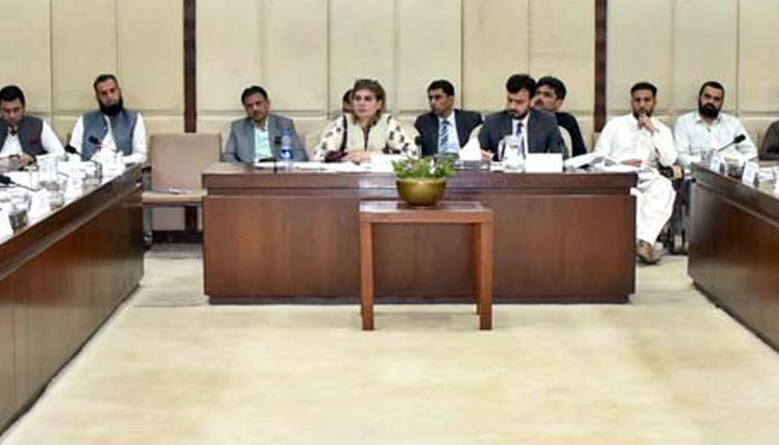 Chairperson Senate Functional Committee On Human Rights Senator Samina Mumtaz Zehri presiding over a meeting of the committee at Parliament House on May 20, 2025. — APP