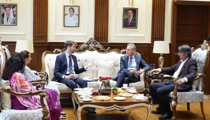 Sindh Assembly Speaker Syed Awais Qadir Shah (left) in a meeting with a delegation from the European Union at his office on May 21, 2025. — Facebook@pasgovofficial