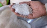 PMEX set to launch deliverable sugar futures