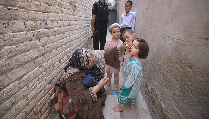 Female Polio worker administering polio drops to children at Warsak road during anti-polio vaccination campaign in KP on September 9, 2024. — APP