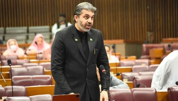 PTI MNA Ali Muhammad Khan. — X@NA of Pakistan/File