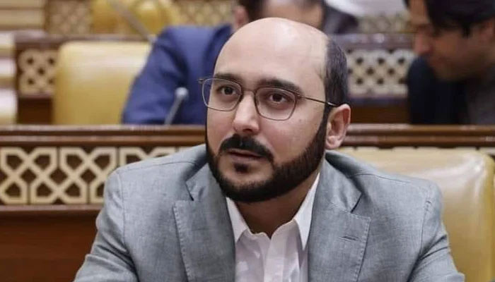 Chairman Public Accounts Committee-2 (PAC) Syed Ali Haider Gilani seen in this image taken on May 7, 2024. — Facebook@Ali Haider Gillani Community