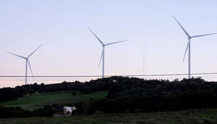 A view shows wind turbines in front of a cow at Paradelas City Council, in Galicia, Spain September 27, 2022.—Reuters