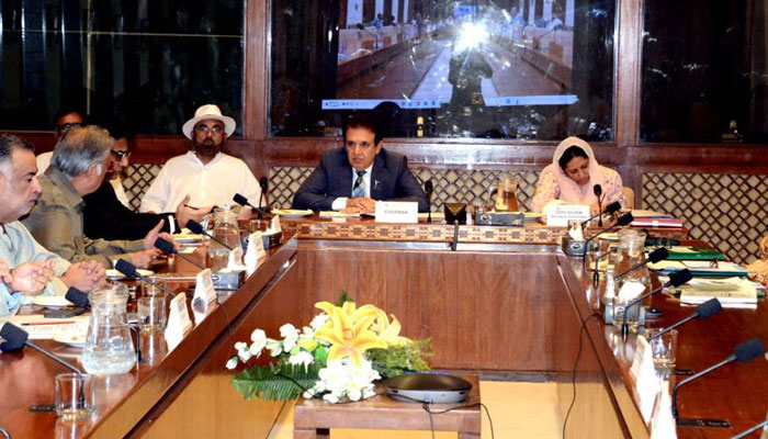 Chairman Senate Standing Committee on Parliamentary Affairs Senator Dr Mohammad Humayun Mohmand presides over substantive session at the Parliament House on May 29, 2025. — Facebook@Pakistansenate