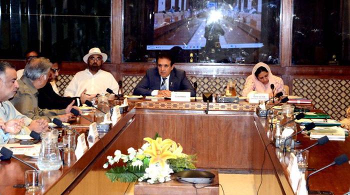 Senate panel reviews Internet voting, electoral reforms