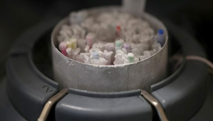 Frozen sperm preserved in a cooled container in a laboratory in Paris, France, September 13, 2019. Picture taken September 13, 2019. — Reuters