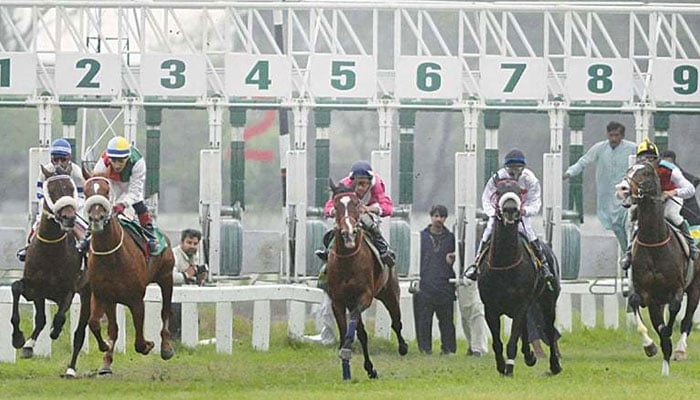 A representative image of a horse race. — APP/File