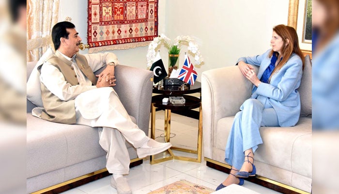 Chairman Senate Syed Yousaf Raza Gilani (left) exchanging views with British High Commissioner to Pakistan Jane Marriott  during a meeting in Islamabad on June 5, 2025. — PPI